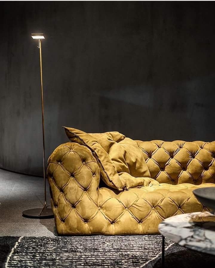 Winchister Collection 8